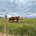 公寓 Koniec Swiata Stare Sady